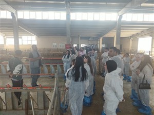 Eskil’deki Modern İşletmelerde Teknik Uygulama Eğitimi