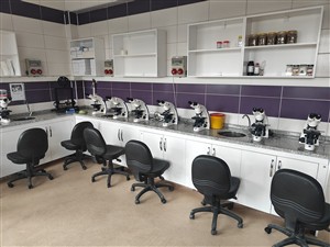 Mikroskop Laboratuvarı