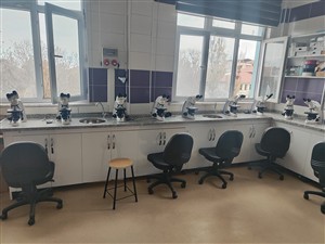 Mikroskop Laboratuvarı