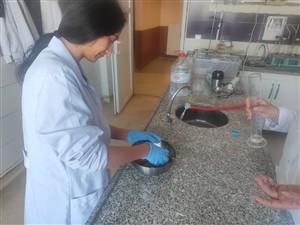 Veterinerlik Öğrencilerinden Sıfır Atık Hedefli Toplumsal Katkı
