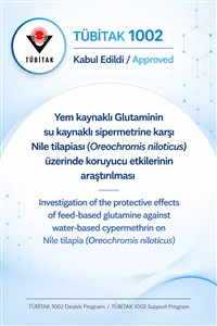 Öğretim Elemanımızın TÜBİTAK Projesi Kabul Edildi