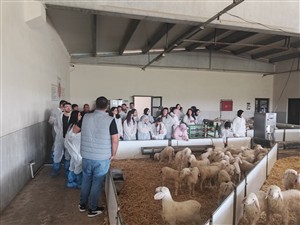 Eskil’deki Modern İşletmelerde Teknik Uygulama Eğitimi