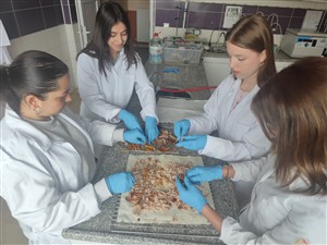 Veterinerlik Öğrencilerinden Sıfır Atık Hedefli Toplumsal Katkı