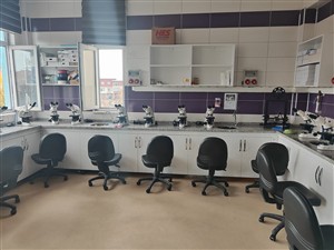 Mikroskop Laboratuvarı