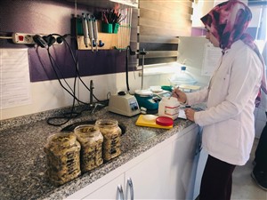 Geleceğin Laborantlarına Uygulamalı Eğitim