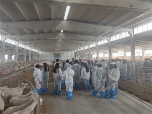 Eskil’deki Modern İşletmelerde Teknik Uygulama Eğitimi