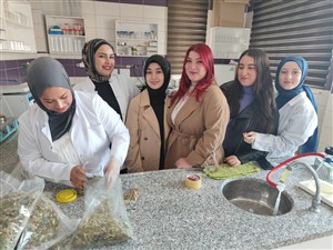 Laborant ve Veteriner Sağlık Öğrencileri Uygulamalı Yem Hazırlama Çalışması Gerçekleştirdi