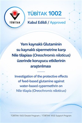 Öğretim Elemanımızın TÜBİTAK Projesi Kabul Edildi